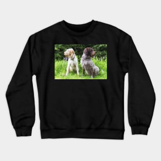 Wildflower Spinoni bookends Crewneck Sweatshirt